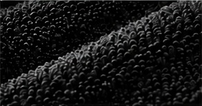 Two textures. One smart design.